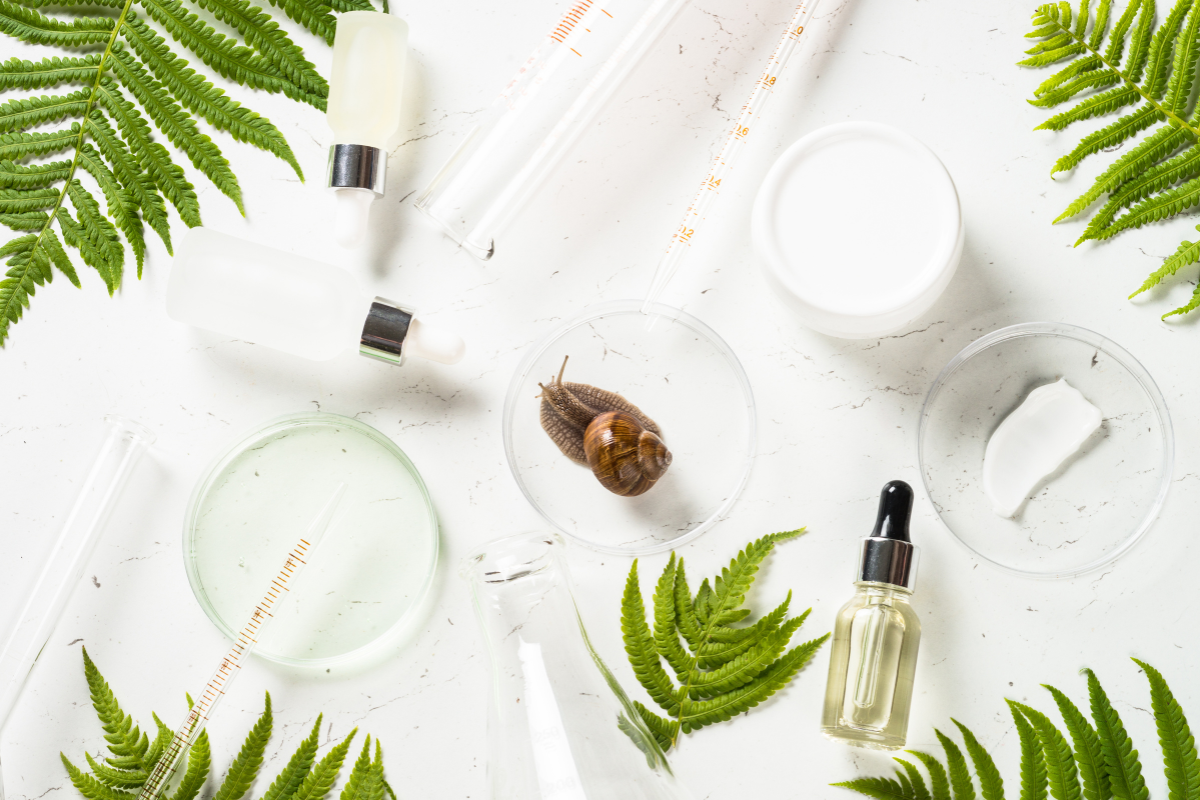 A flat lay of skincare ingredients and laboratory glassware with a snail in a petri dish, surrounded by green fern leaves.