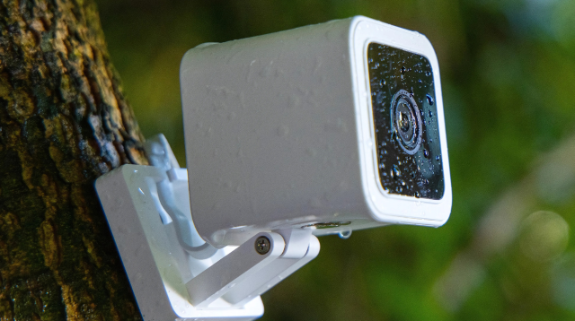 A weatherproof outdoor security camera mounted on a tree, capturing footage in a natural environment.