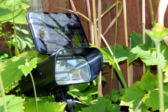 Black solar-powered spotlight placed in a garden, surrounded by green foliage.