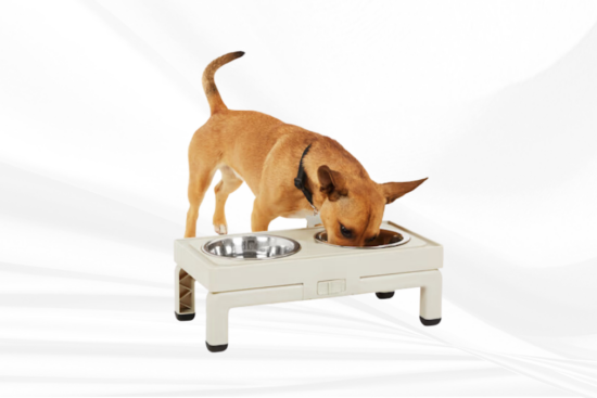 A small brown dog eating from an elevated beige pet feeder with two stainless steel bowls, against a white background.