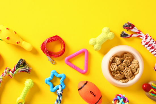 An assortment of colorful dog toys, a leash, and a bowl of bone-shaped treats arranged on a bright yellow background.