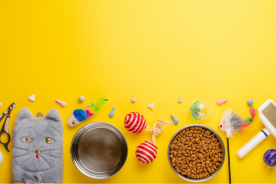 An assortment of cat supplies, including toys, food, a water bowl, a grooming brush, and a plush cat pouch, arranged on a bright yellow background.