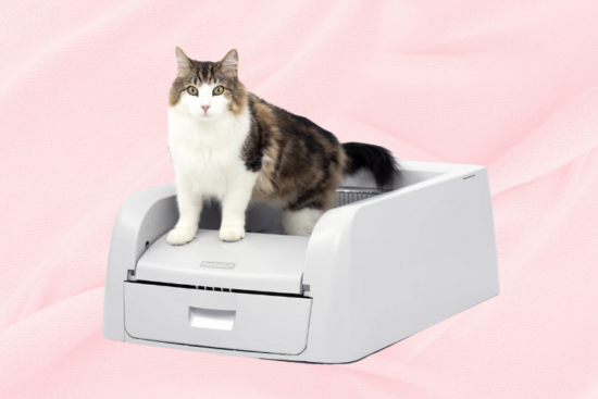 A fluffy cat sitting on a self-cleaning litter box, displayed against a soft pink fabric background.