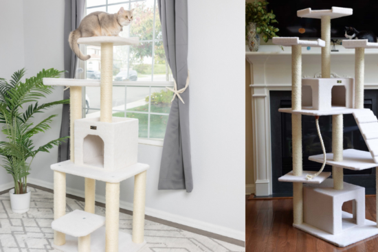 Two large multi-level cat trees with scratching posts, platforms, and cozy hideouts.