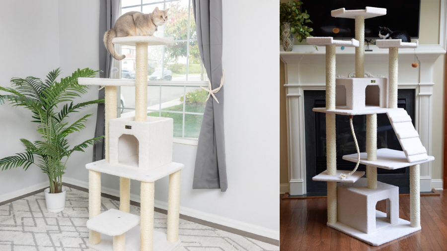 Two large multi-level cat trees with scratching posts, platforms, and cozy hideouts.