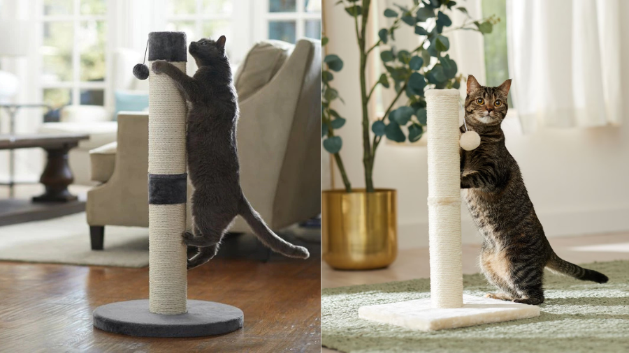 Two cats using scratching posts with sisal-wrapped surfaces and attached toys, set in cozy indoor spaces with natural lighting.