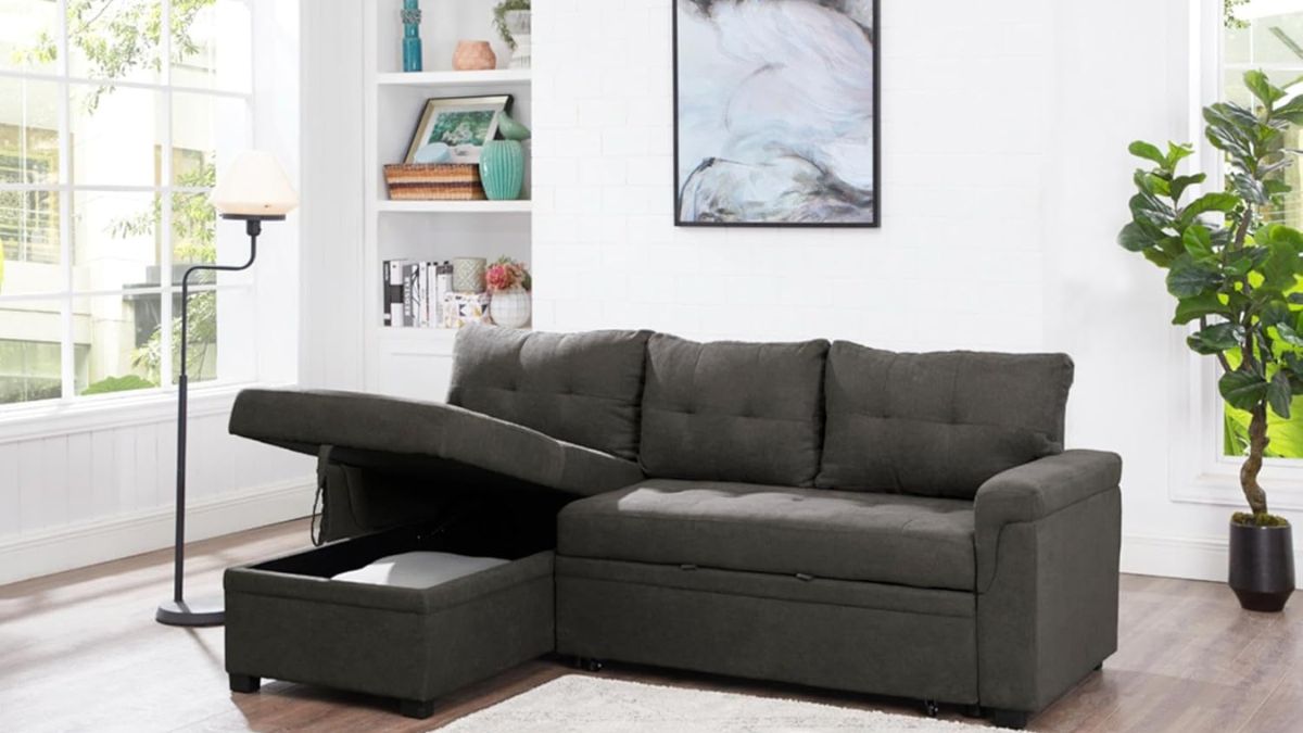 A dark gray sectional sofa with a pull-out sleeper and built-in storage, placed in a bright living room with large windows.
