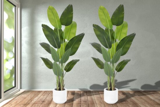 Two ZEEOZE artificial bird of paradise plants in white pots stand tall in a bright room with wooden floors and a neutral wall.
