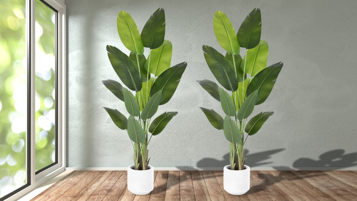 Two ZEEOZE artificial bird of paradise plants in white pots stand tall in a bright room with wooden floors and a neutral wall.