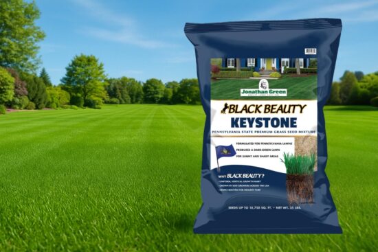 Bag of Jonathan Green Black Beauty Keystone grass seed placed on a bright green lawn with trees in the background.