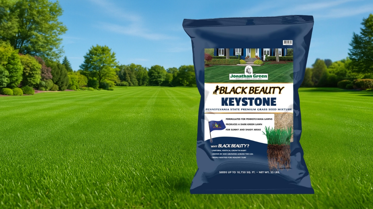 Bag of Jonathan Green Black Beauty Keystone grass seed placed on a bright green lawn with trees in the background.