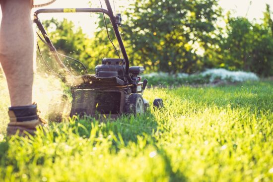 Cut smarter with the EGO POWER+ lawn mower—powerful 56V performance, long battery life, and easy handling make it a top pick for cordless mowing in 2025.