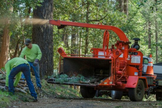 Two workers feed branches into a large red wood chipper near a forested area during a yard cleanup.