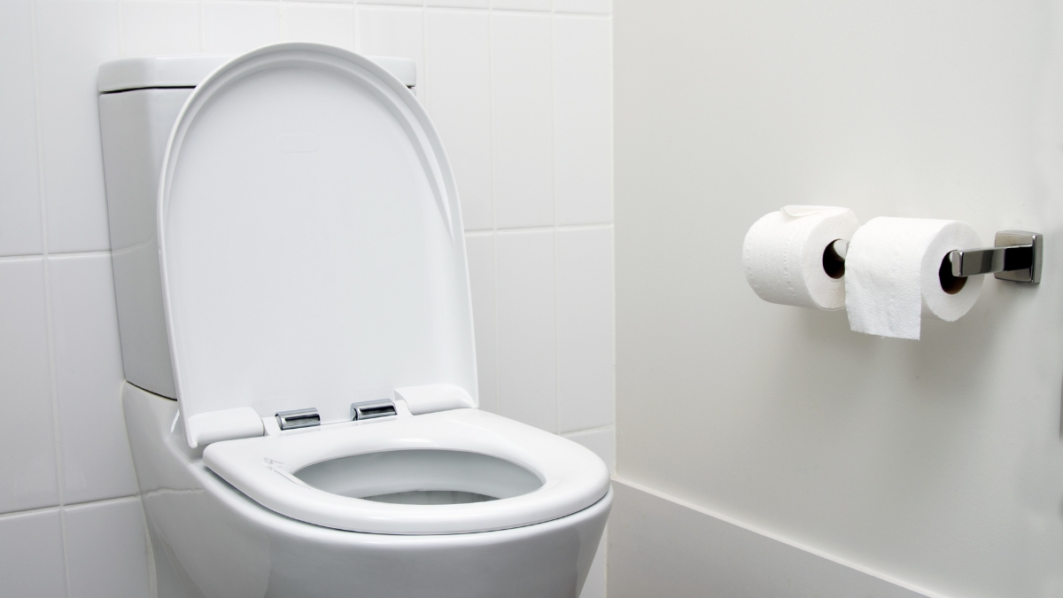 Modern white toilet with two rolls of toilet paper mounted on the wall nearby.