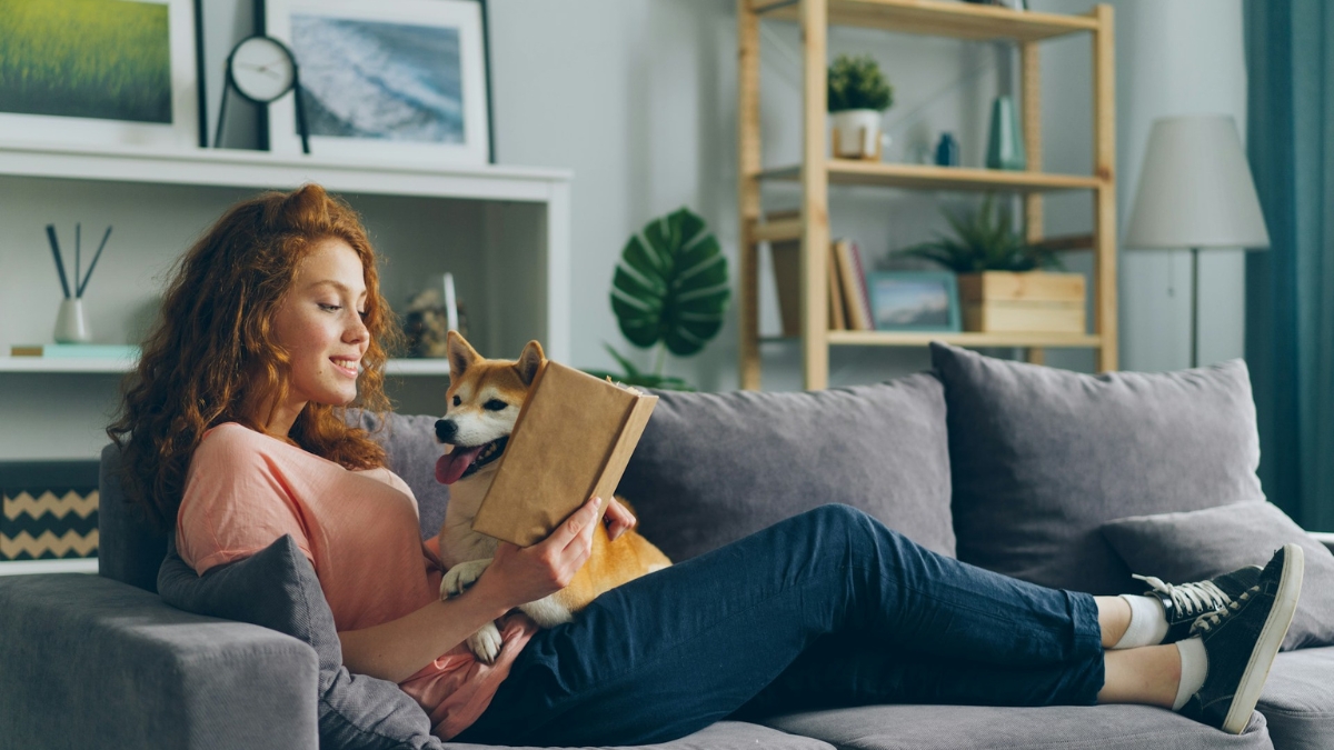 Woman relaxing on a gray sofa with a book and a happy dog in a cozy living room.