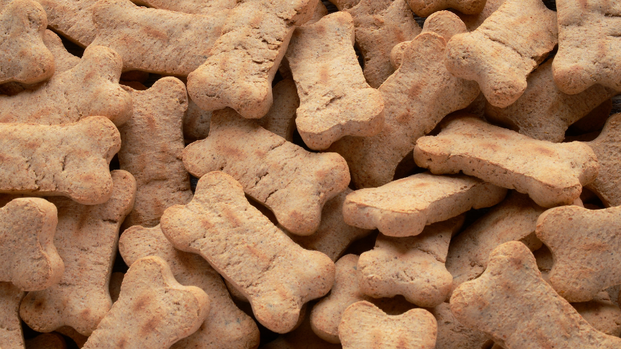 Best Petco Treats for Dogs in 2025