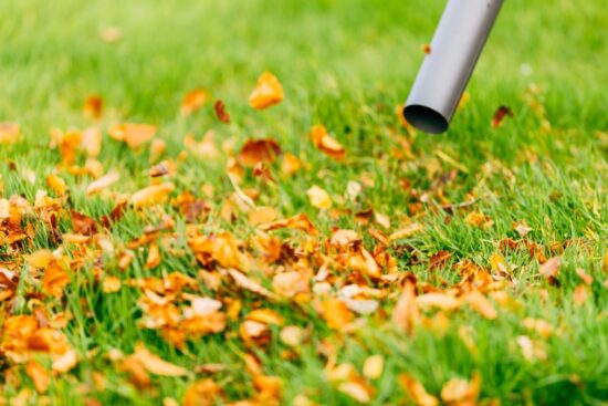 A leaf blower clearing dry autumn leaves from green grass.