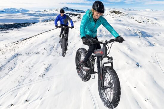 TotGuard Electric Bike, 26" x4.0 Fat Tire Electric Bike
