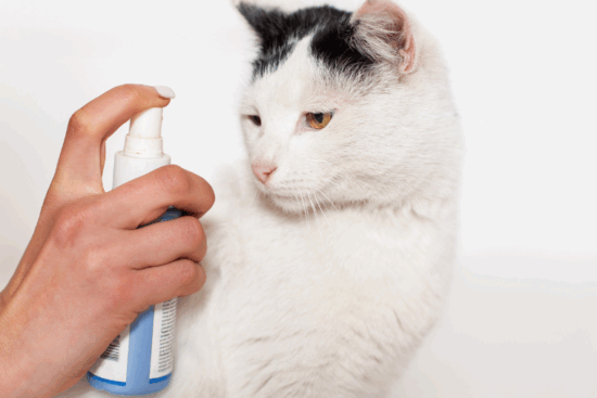 Wondercide Flea and Tick Spray