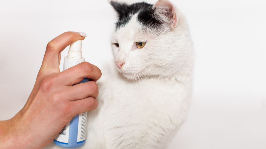 Wondercide Flea and Tick Spray