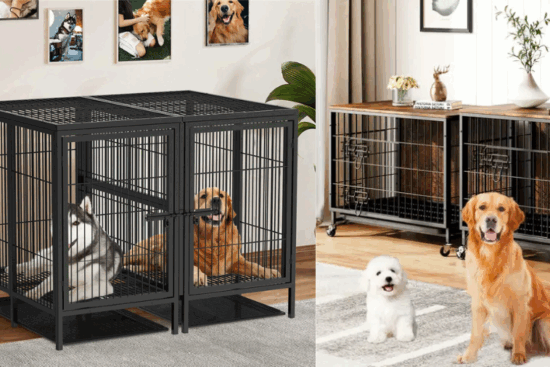 48/38 Heavy Duty Dog Crates for Large Dogs