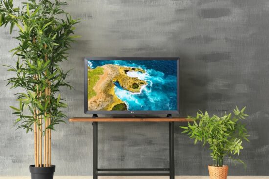 LG 24-inch Smart TV on a wooden table between two plants, showing a bright ocean scene.