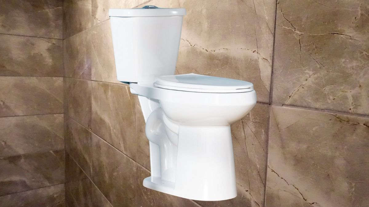 HOMLYLINK 21 Inch Tall Toilet for Seniors.