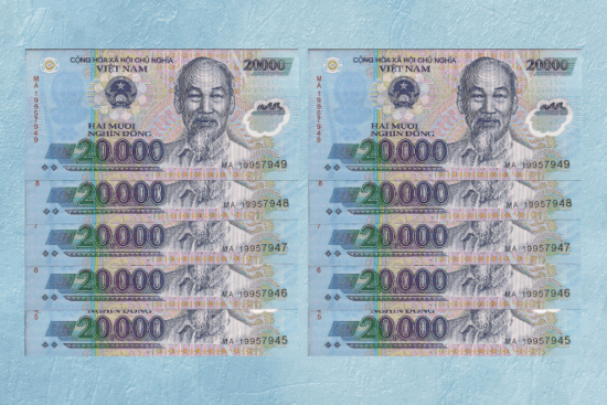 Collectible Vietnamese Banknotes