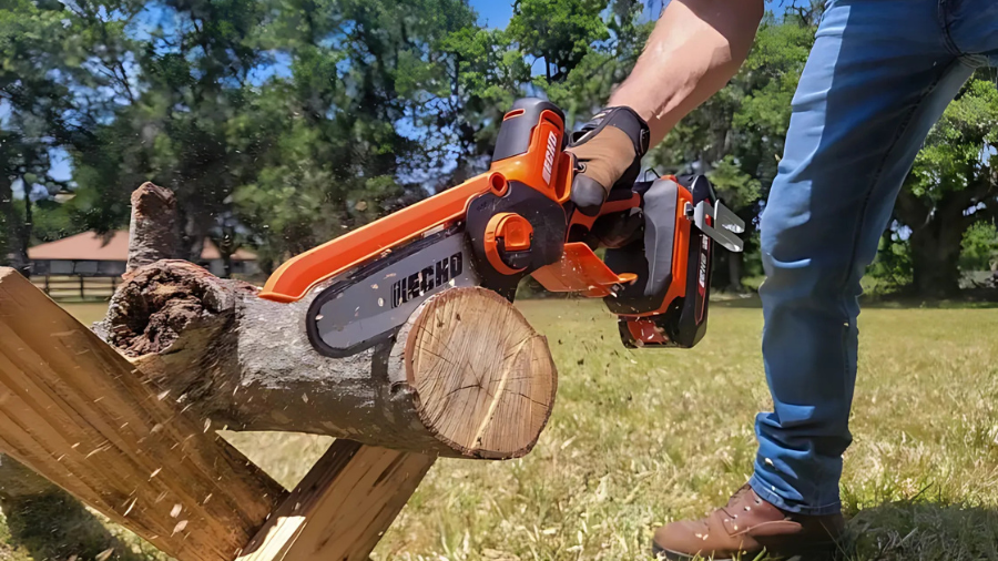 ECHO DHS-3006X1 56V Battery Powered Handheld Pruning Saw