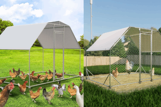 Belinova Large Metal Chicken Coop
