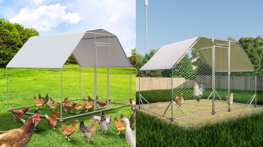 Belinova Large Metal Chicken Coop