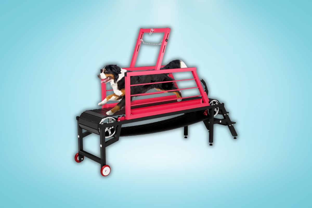 Upgrade Your Dog’s Fitness: 91-Inch Slat Mill Treadmill with Hand Brake for Large Breeds