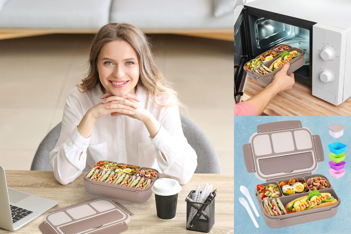 No More Soggy Lunches: Why the Shell & Turtle Bento Box Is a Game-Changer for Busy Adults