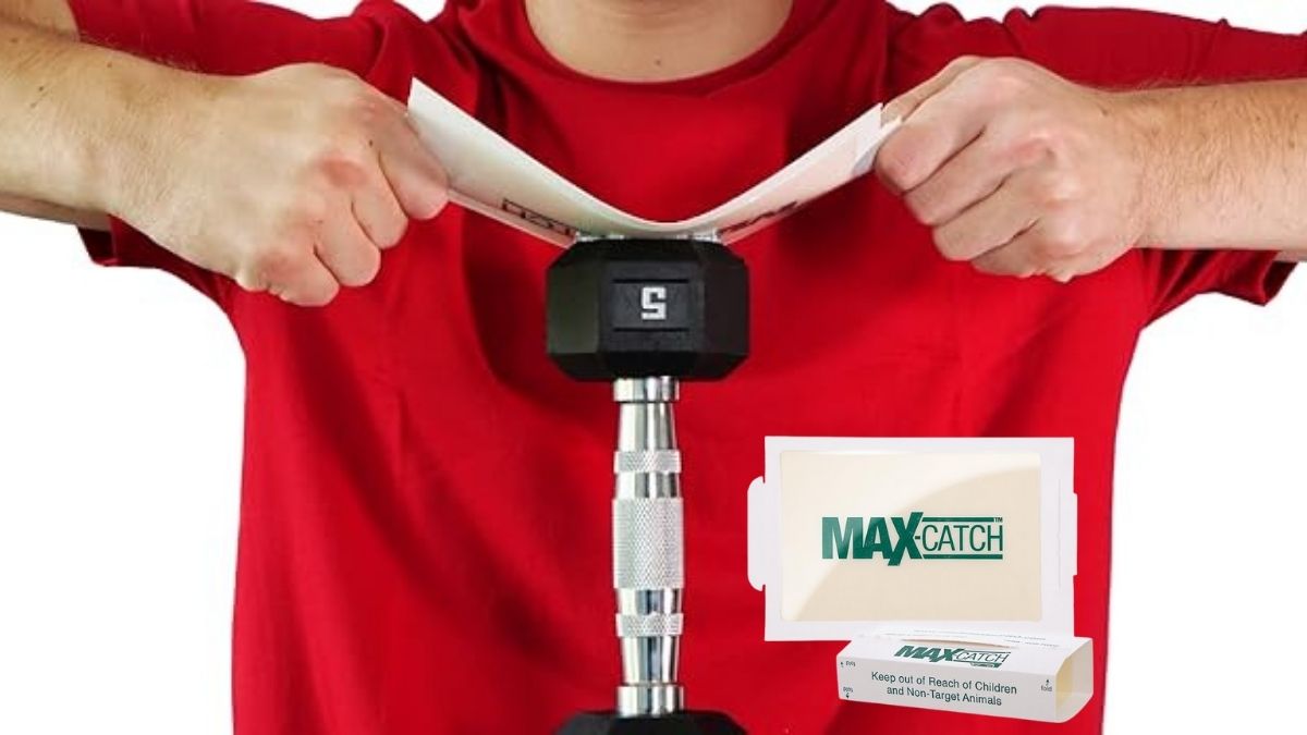 Catchmaster Max-Catch Mouse & Insect Glue Trap