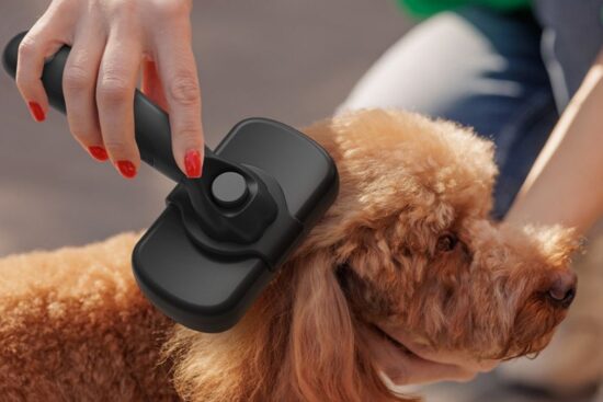 Self Cleaning Shedding Brush