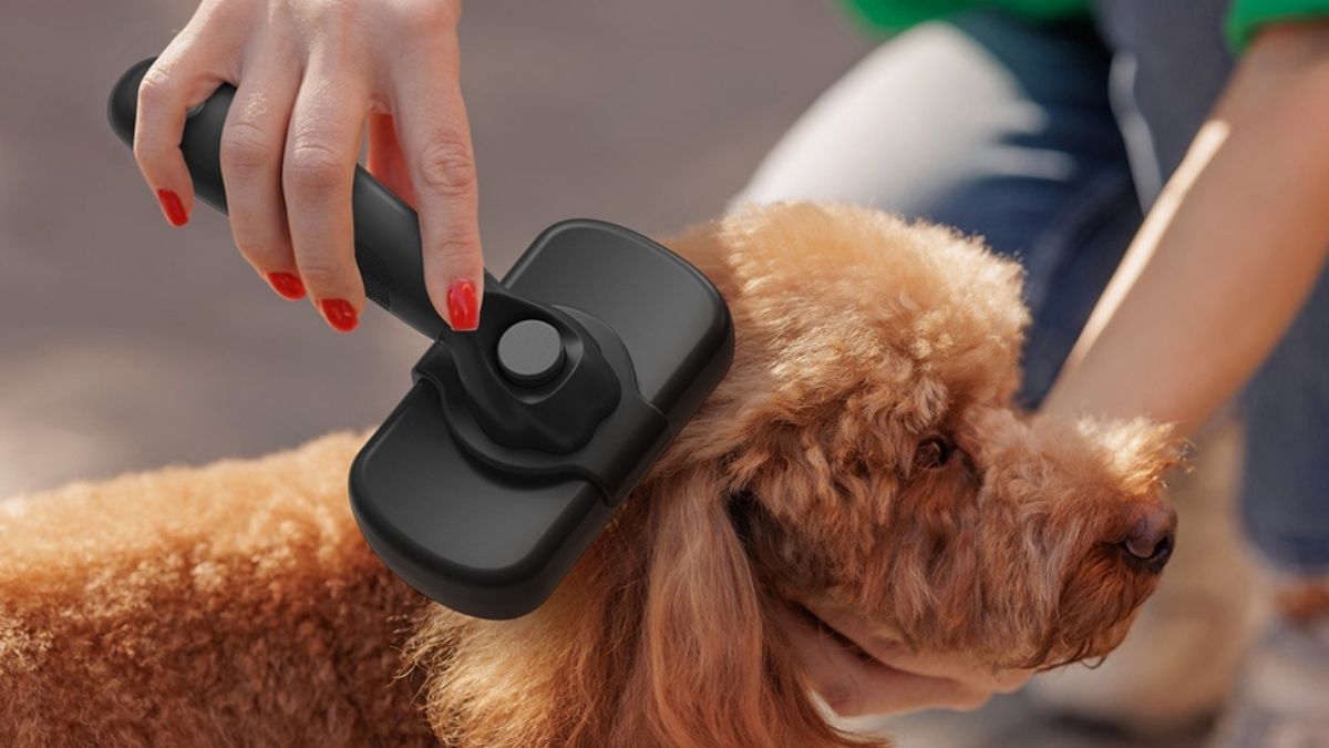 Self Cleaning Shedding Brush