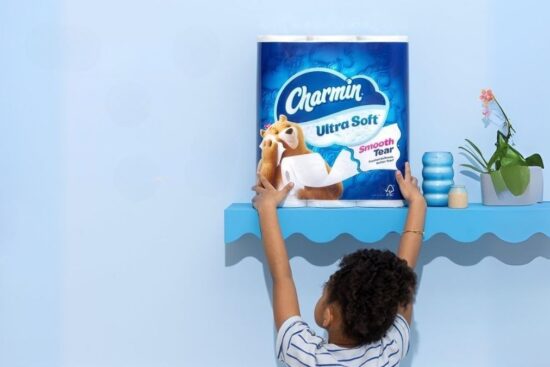 Charmin Ultra Soft Toilet Paper 6 Mega Rolls