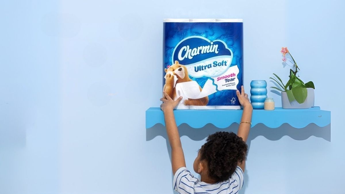 Charmin Ultra Soft Toilet Paper 6 Mega Rolls
