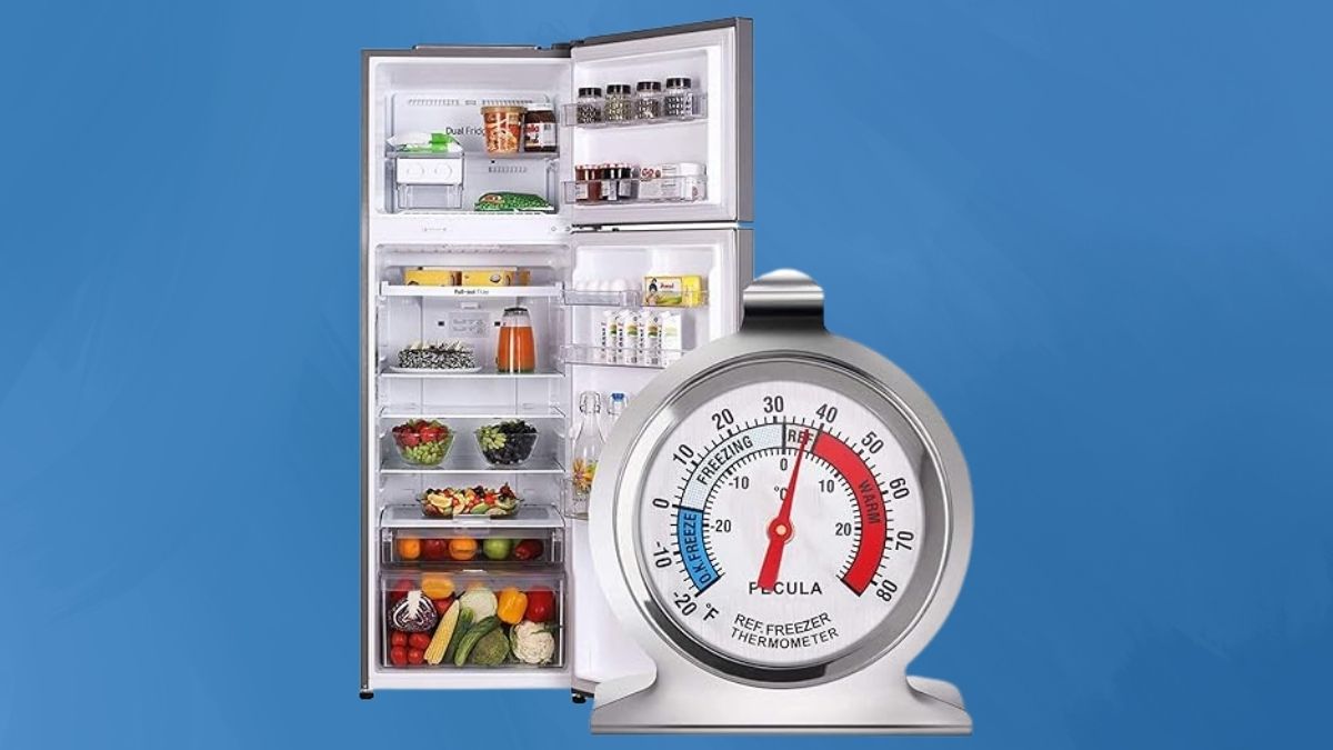2 Pack Refrigerator Thermometer