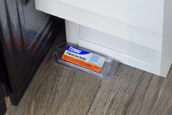 TERRO Ant Killer Bait Stations T300B