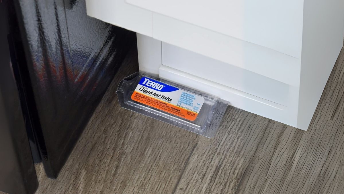 TERRO Ant Killer Bait Stations T300B