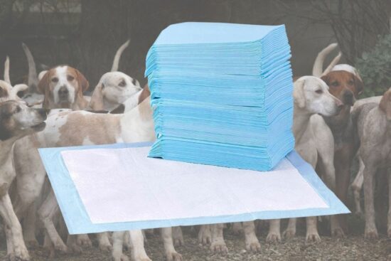 Amazon Basics Dog and Puppy Pee Pads