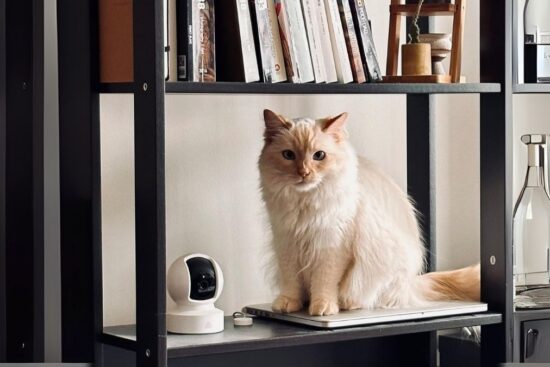 Kasa Indoor Pan/Tilt Smart Security Camera