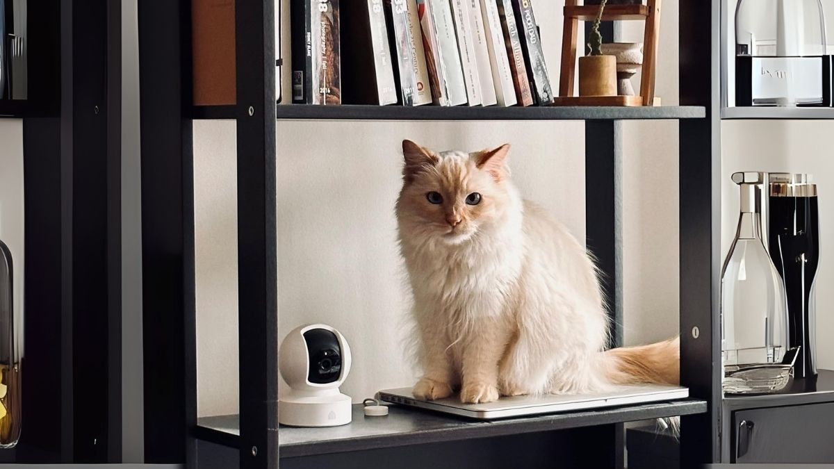 Kasa Indoor Pan/Tilt Smart Security Camera