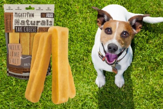 Mighty Paw Yak Cheese Dog Chews
