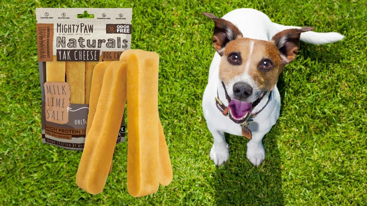 Mighty Paw Yak Cheese Dog Chews