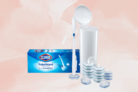 Amazon Everyday Essentials: Clorox Original Toilet Cleaning System