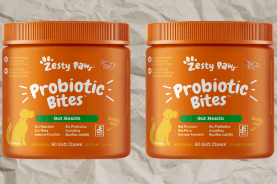 Zesty Paws Pumpkin Probiotic Bites at Petco