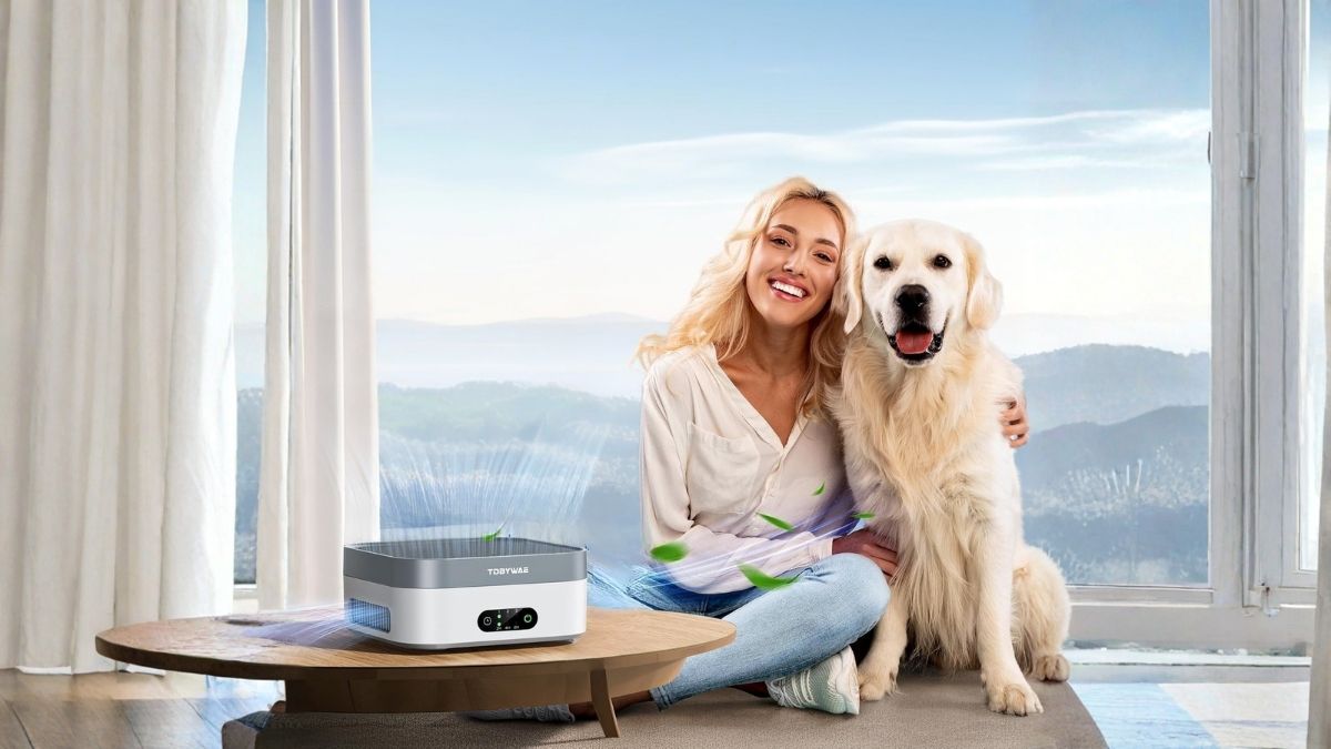 Air Purifier for Home
