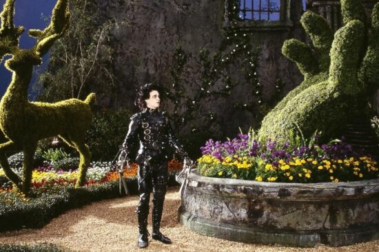 Edward Scissorhands